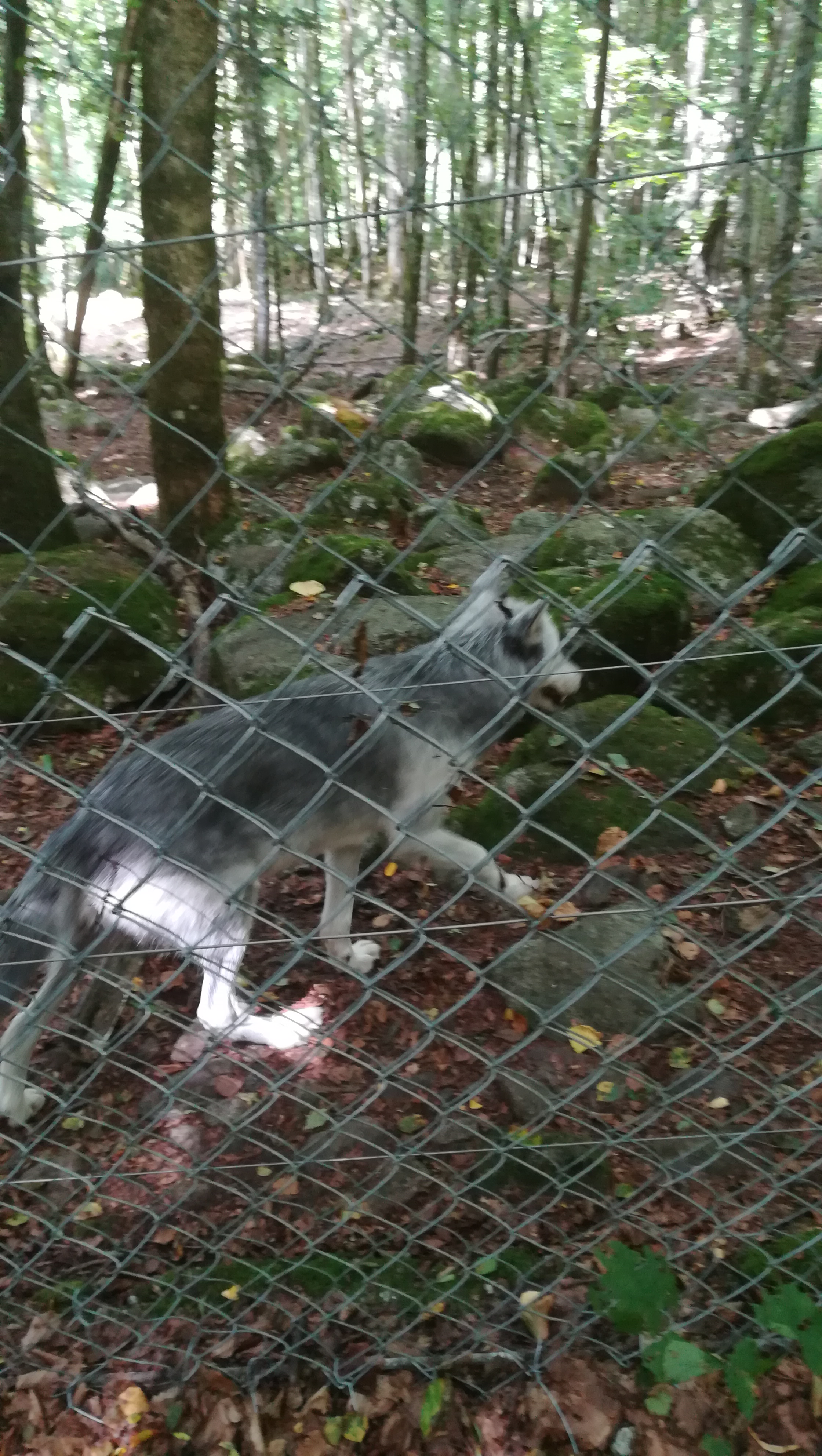Photo n° 11 de l'avis de Melanie.a fait le 23/08/2018 à 08:47
