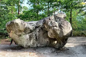 The Elephant Stone image