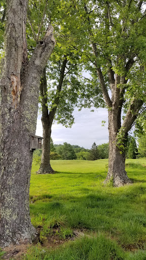 Golf Club «Etowah Valley Golf Club & Lodge», reviews and photos, 470 Brickyard Rd, Etowah, NC 28729, USA