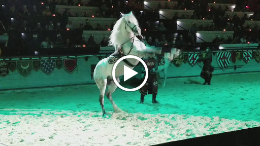 Dinner Theater «Medieval Times Dinner & Tournament», reviews and photos, 5900 Sugarloaf Pkwy #517, Lawrenceville, GA 30043, USA