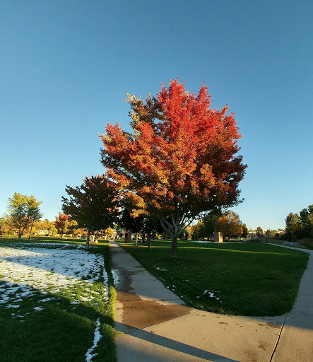 Park «Mission Viejo Park», reviews and photos, 3999 S Mission Pkwy, Aurora, CO 80013, USA