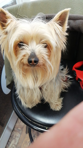 Clínica Veterinaria Vista Alegre en Madrid