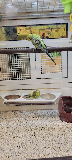 Pet Supply Store «PetSmart», reviews and photos, 8331 La Palma Ave, Buena Park, CA 90620, USA