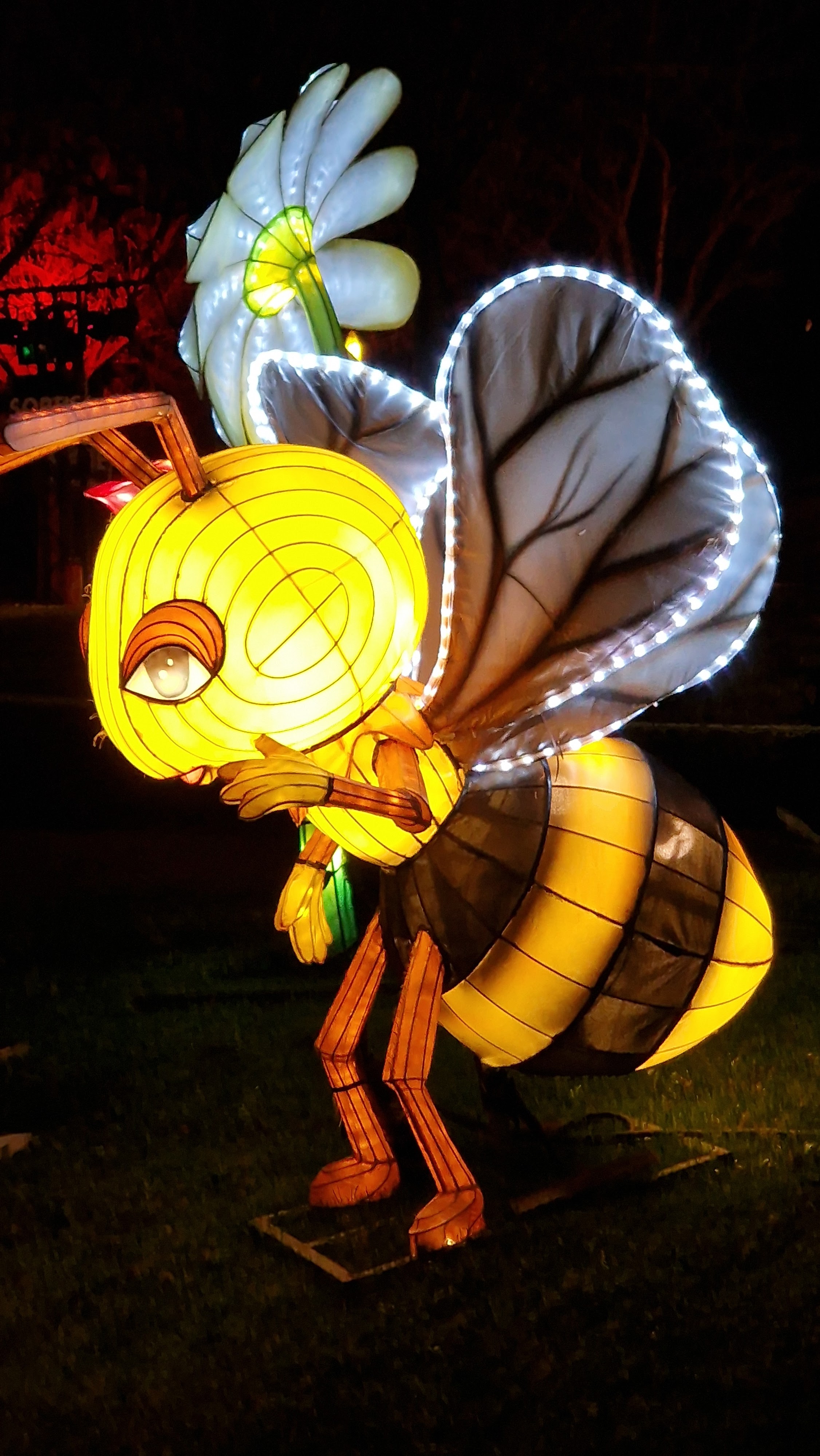 Photo n° 13 de l'avis de Marie.i fait le 29/12/2023 à 15:13