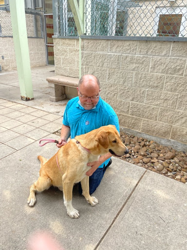 Pet Supply Store «PetSmart», reviews and photos, 5435 W TX-1604 Loop N, San Antonio, TX 78253, USA