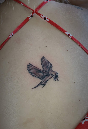 Tattoo Shop «Dr. Tattoo Studio», reviews and photos, 13915 Harbor Blvd, Garden Grove, CA 92843, USA