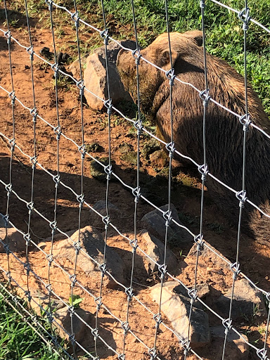 Grocery Store «Yoders Country Market», reviews and photos, 2105 S Seminole Trail, Madison, VA 22727, USA