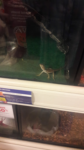 Pet Supply Store «PetSmart», reviews and photos, 1460 Koester Rd, Forsyth, IL 62535, USA