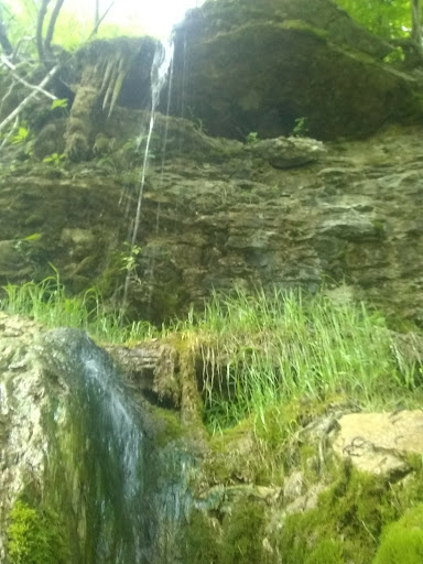 Nature Preserve «Kokiwanee Nature Preserve», reviews and photos, 5825 E 50 S, Lagro, IN 46941, USA