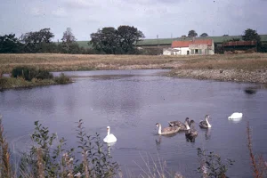 Low Barns Nature Reserve and Visitor Centre image