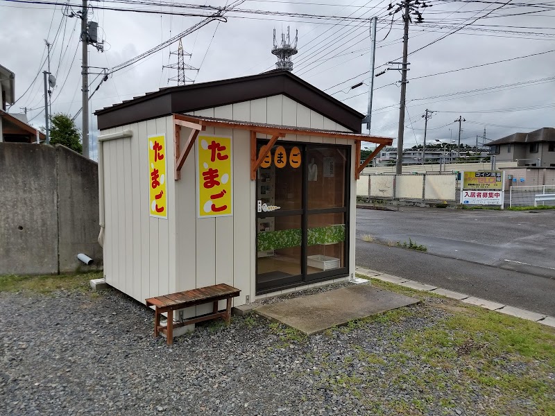 田中養鶏場 たまご直売所