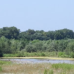 Photo n° 1 de l'avis de Valerie.e fait le 21/07/2021 à 11:44 pour Réserve naturelle Petite Camargue Alsacienne à Saint-Louis