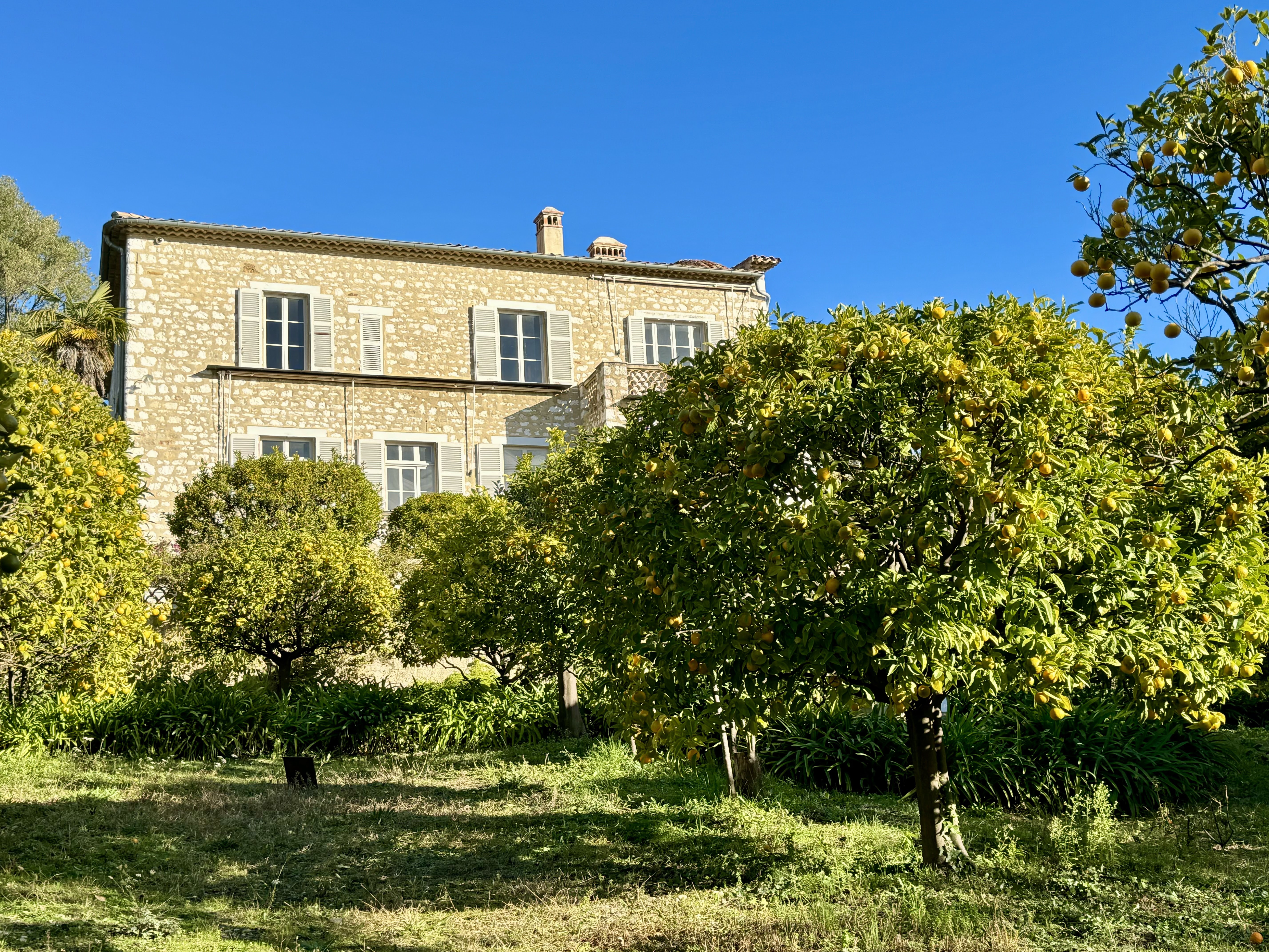 Photo n° 2 de l'avis de Ilya. fait le 11/12/2023 à 22:51