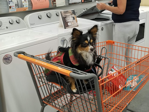 Home Improvement Store «The Home Depot», reviews and photos, 2508 Skyline Blvd, Cape Coral, FL 33914, USA
