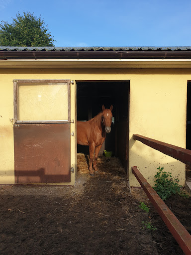 Dr. Hans-Jürgen Terhaar unter Cuxhaven, 