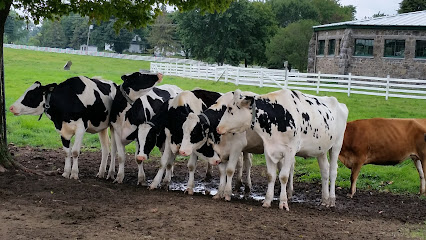 Macdonald Farm