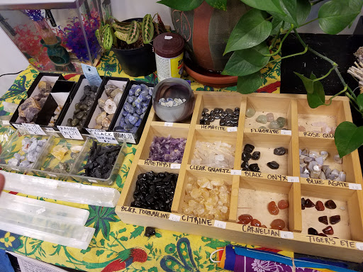 Tobacco Shop «Northern Lights», reviews and photos, 1140 Brighton Ave, Portland, ME 04102, USA