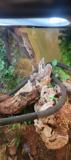 Pet Store «Olathe Pet Shop», reviews and photos, 16651 151st St, Olathe, KS 66062, USA