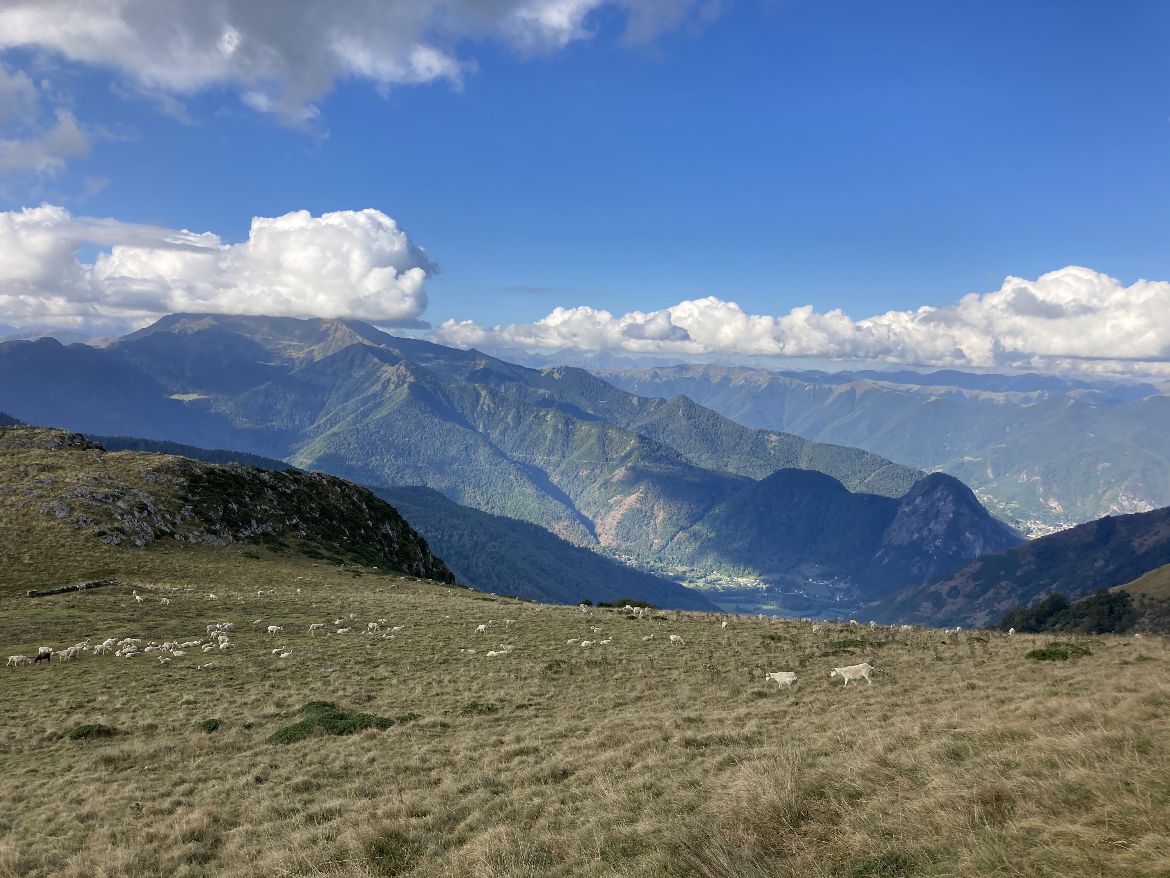 Photo n° 1 de l'avis de Elise. fait le 11/09/2020 à 15:08