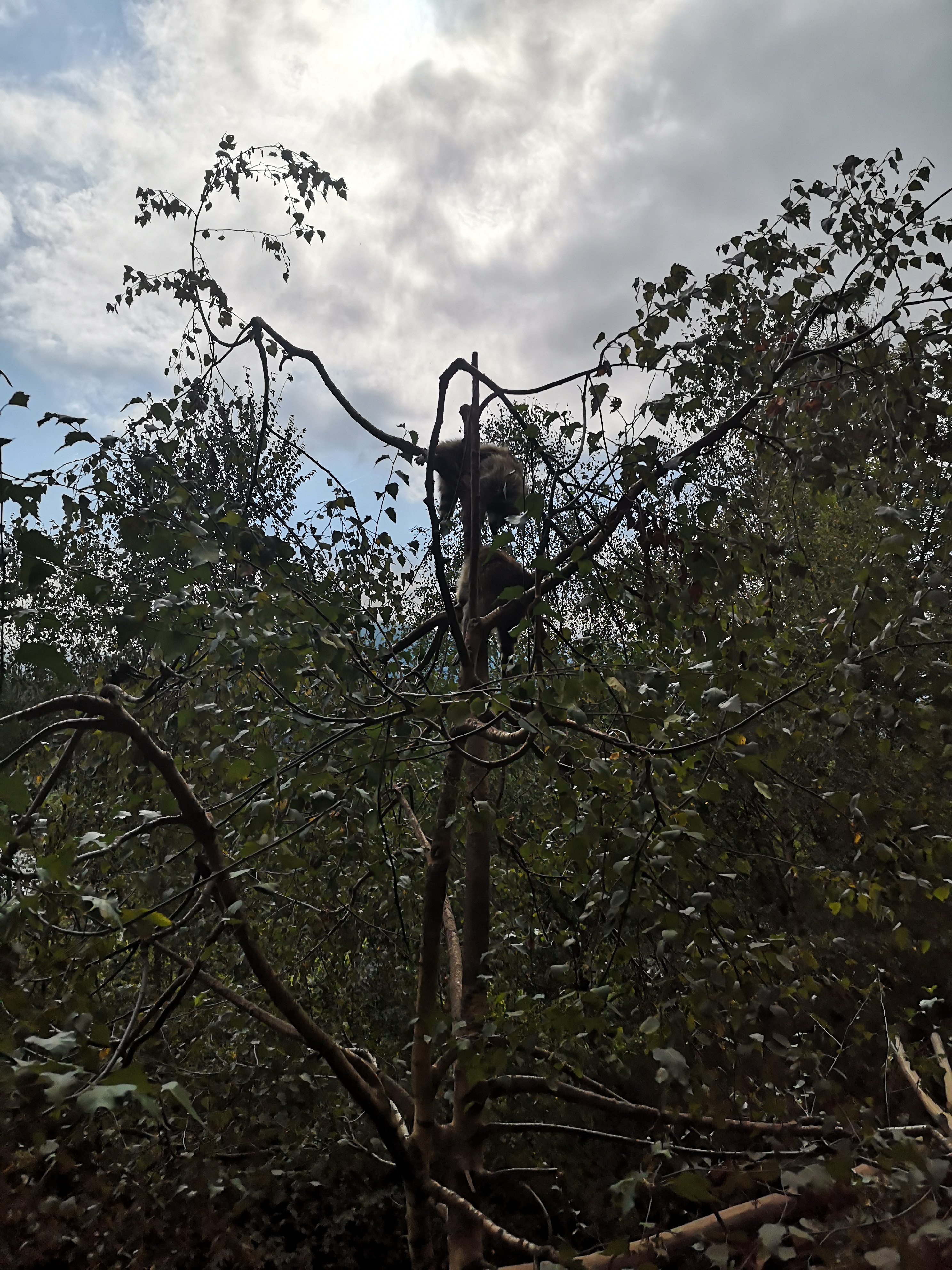 Photo n° 31 de l'avis de Xxx.x fait le 14/08/2020 à 21:01