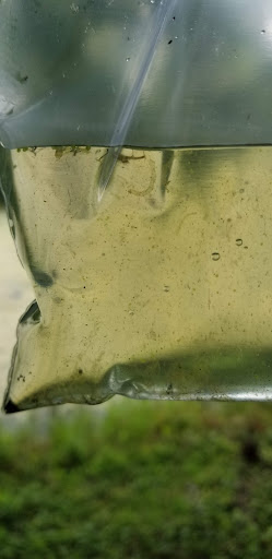 Golf Club «Bartlett Hills Golf Club», reviews and photos, 800 W Oneida Ave, Bartlett, IL 60103, USA