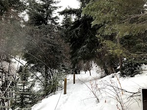 Chavez and Beaver Brook Trail Loop - photo 17