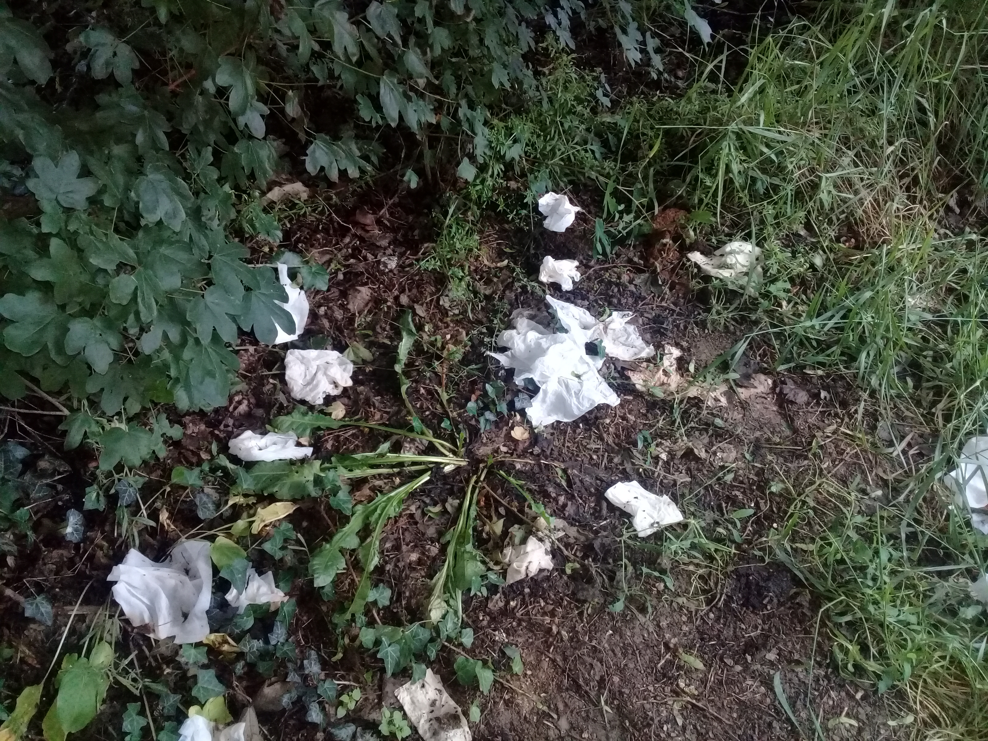 Photo n° 1 de l'avis de Nadia.i fait le 08/06/2018 à 23:34