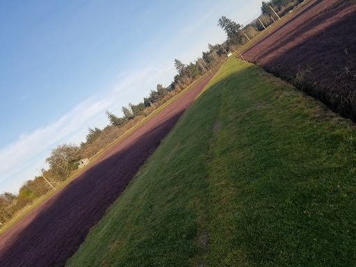 Museum «Cranberry Museum», reviews and photos, 2907 Pioneer Rd, Long Beach, WA 98631, USA