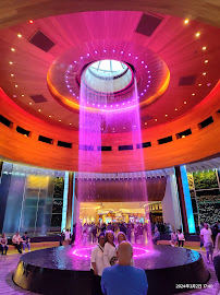 Winner's Way Garage (in Seminole Hard Rock Hollywood) - Photo 5 - Car repair in Davie, FL, Pembroke Pines