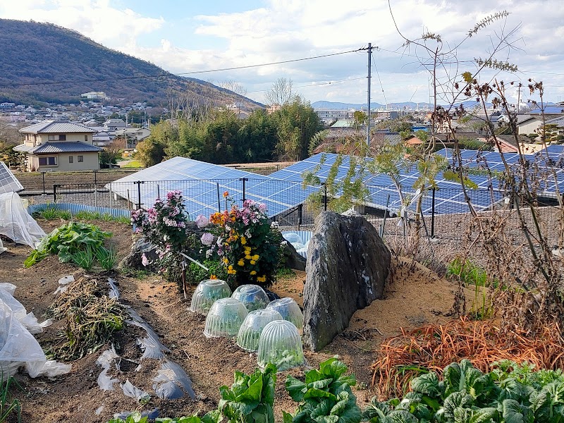 山の神1号墳