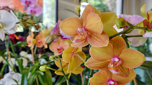 Florist «Tiger Lily Florist Inc.», reviews and photos, 131 Spring St, Charleston, SC 29403, USA