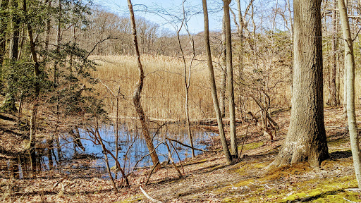 State Park «Hammerman Area Beach», reviews and photos, 7200 Graces Quarters Road, Middle River, MD 21220, USA