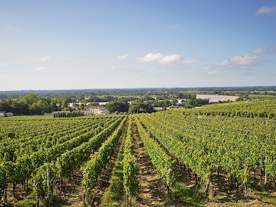 Château de La Dauphine à Fronsac