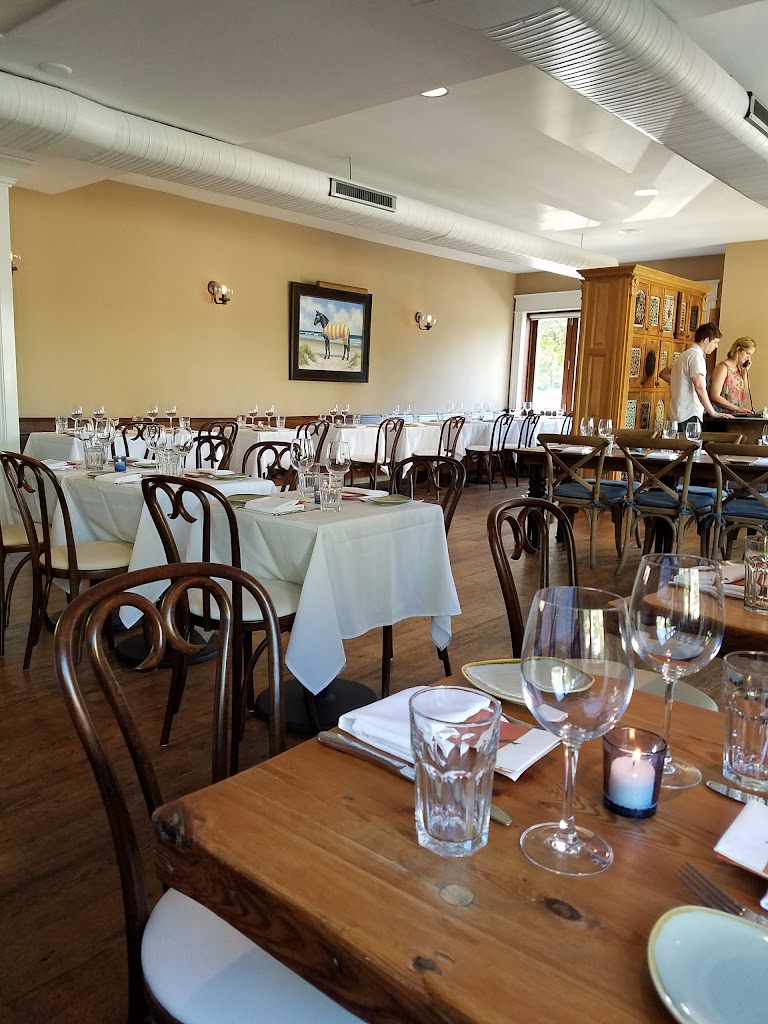 The Diving Horse 08202