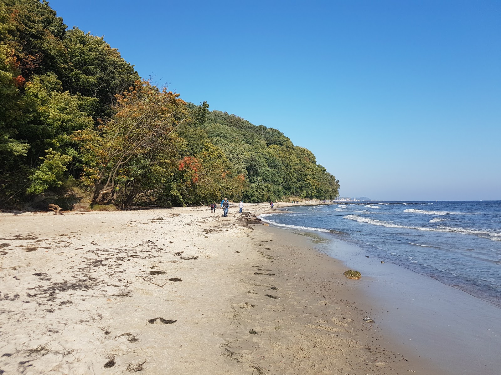Foto di Redlowo wild Beach con una superficie del sabbia beige e rocce