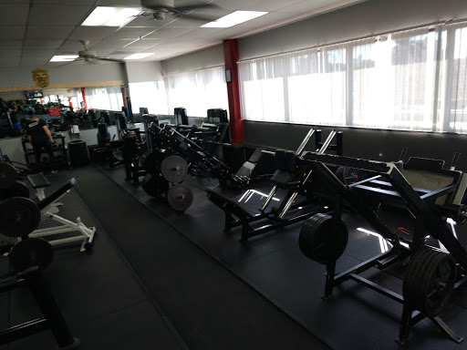 Gym «Olympia Gym & Fitness Center», reviews and photos, 20335 Biscayne Blvd, Miami, FL 33180, USA