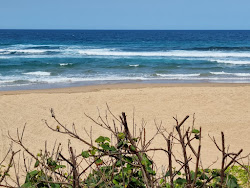 Photo de Ponta Malongane avec rivage droit, long