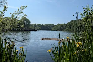 Three Sisters Local Nature Reserve image