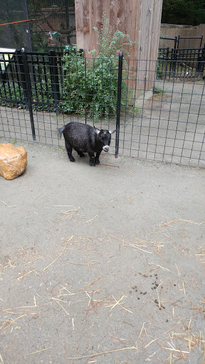 Zoo «Brandywine Zoo», reviews and photos, 1001 N Park Dr, Wilmington, DE 19802, USA