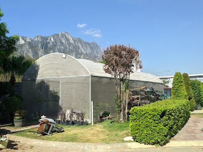 La Huasteca Garden Center