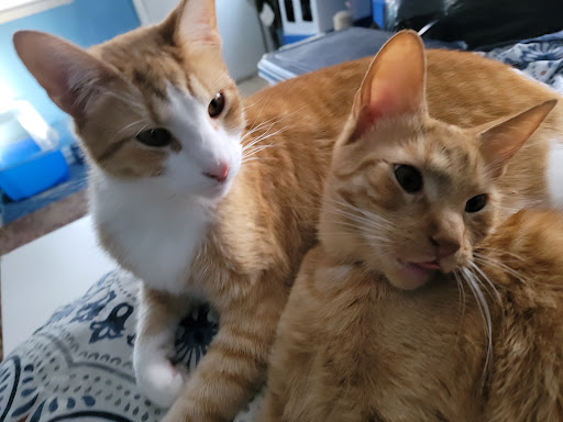 10843 Lanham Severn Rd, Glenn Dale, MD 20769, USA