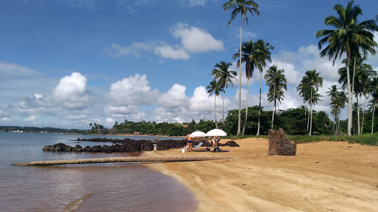 Foto von Kokospalmen Strand annehmlichkeitenbereich