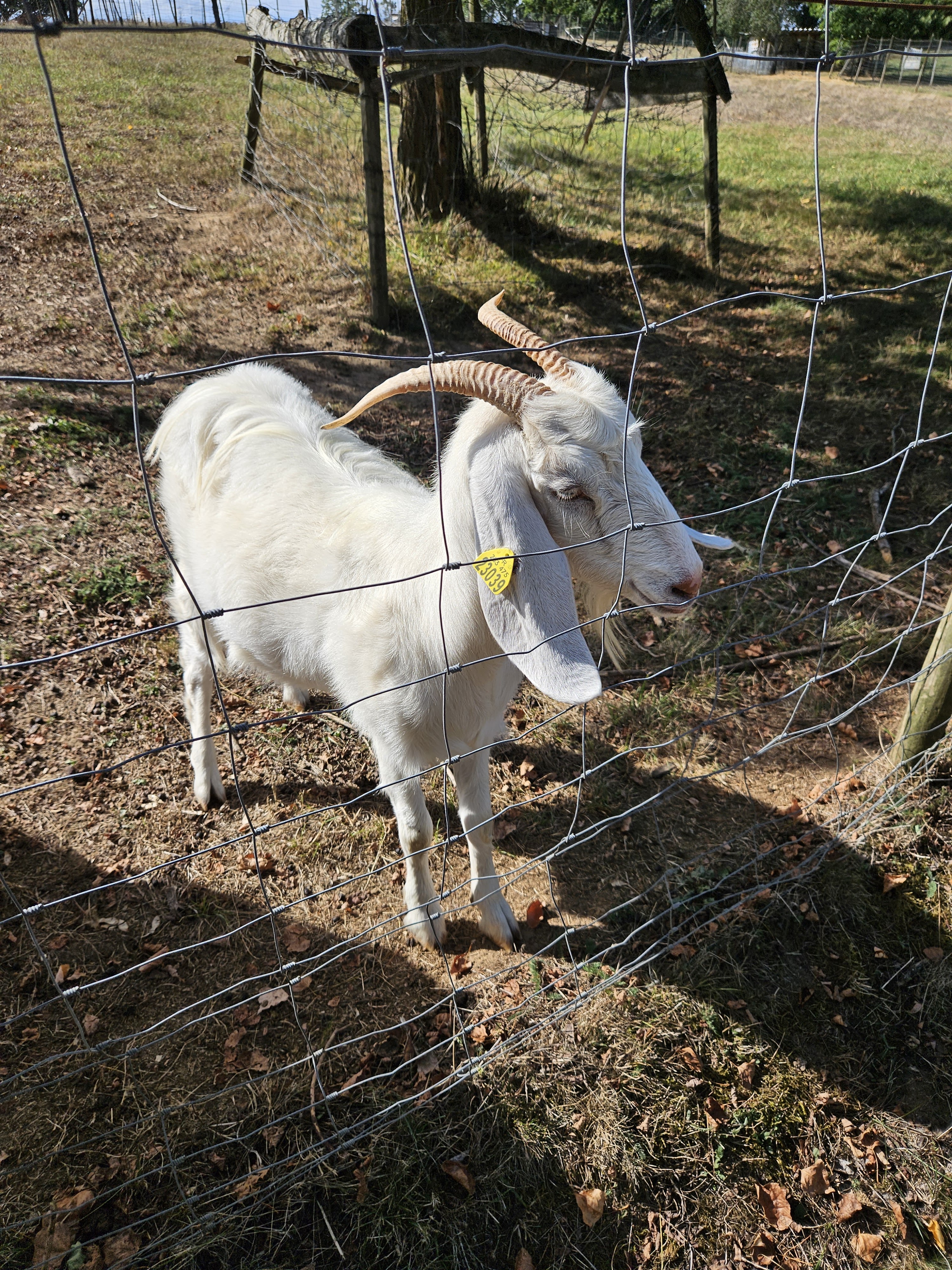 Photo n° 6 de l'avis de Emmanuelle.a fait le 22/09/2023 à 14:59