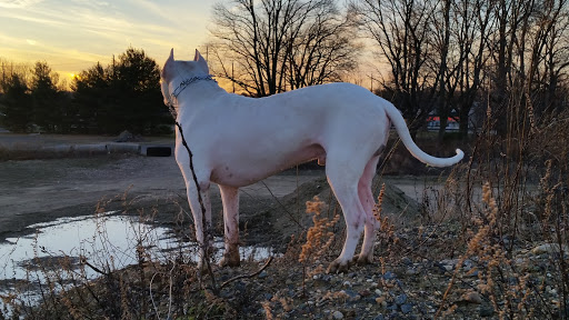 Bowling Alley «Burlington Bowl & Recreation Center», reviews and photos, 4486 US-130, Burlington, NJ 08016, USA