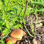 Photo n°21 de l'avis de Viorica.o fait le 13/11/2023 à 14:24 sur le  Other Side à Florence