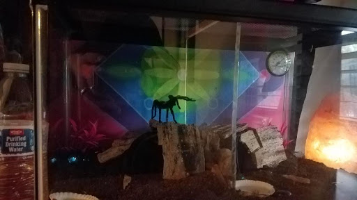 Pet Supply Store «Petco Animal Supplies», reviews and photos, 8700 Preston Rd #105, Plano, TX 75024, USA