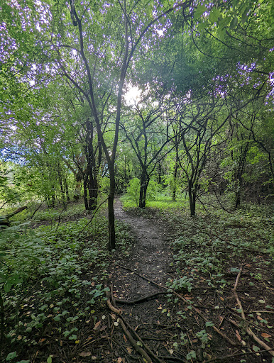 Nature Preserve «Bode Lake», reviews and photos, Bode Rd, Streamwood, IL 60107, USA