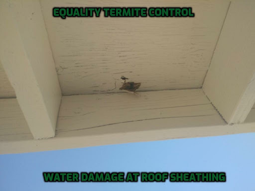 Equality Termite Control