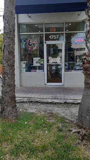 Pet Store «South Beach Pet Shop», reviews and photos, 634 6th St, Miami Beach, FL 33139, USA