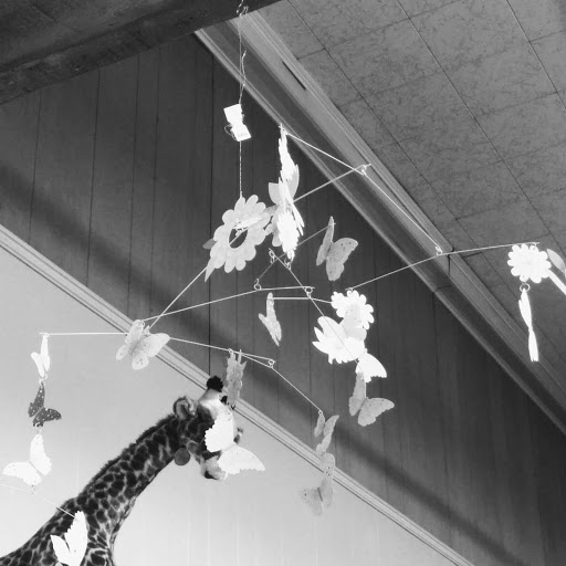 Toy Store «Alakazam Toys & Gifts», reviews and photos, 100 E Main St, Charlottesville, VA 22902, USA